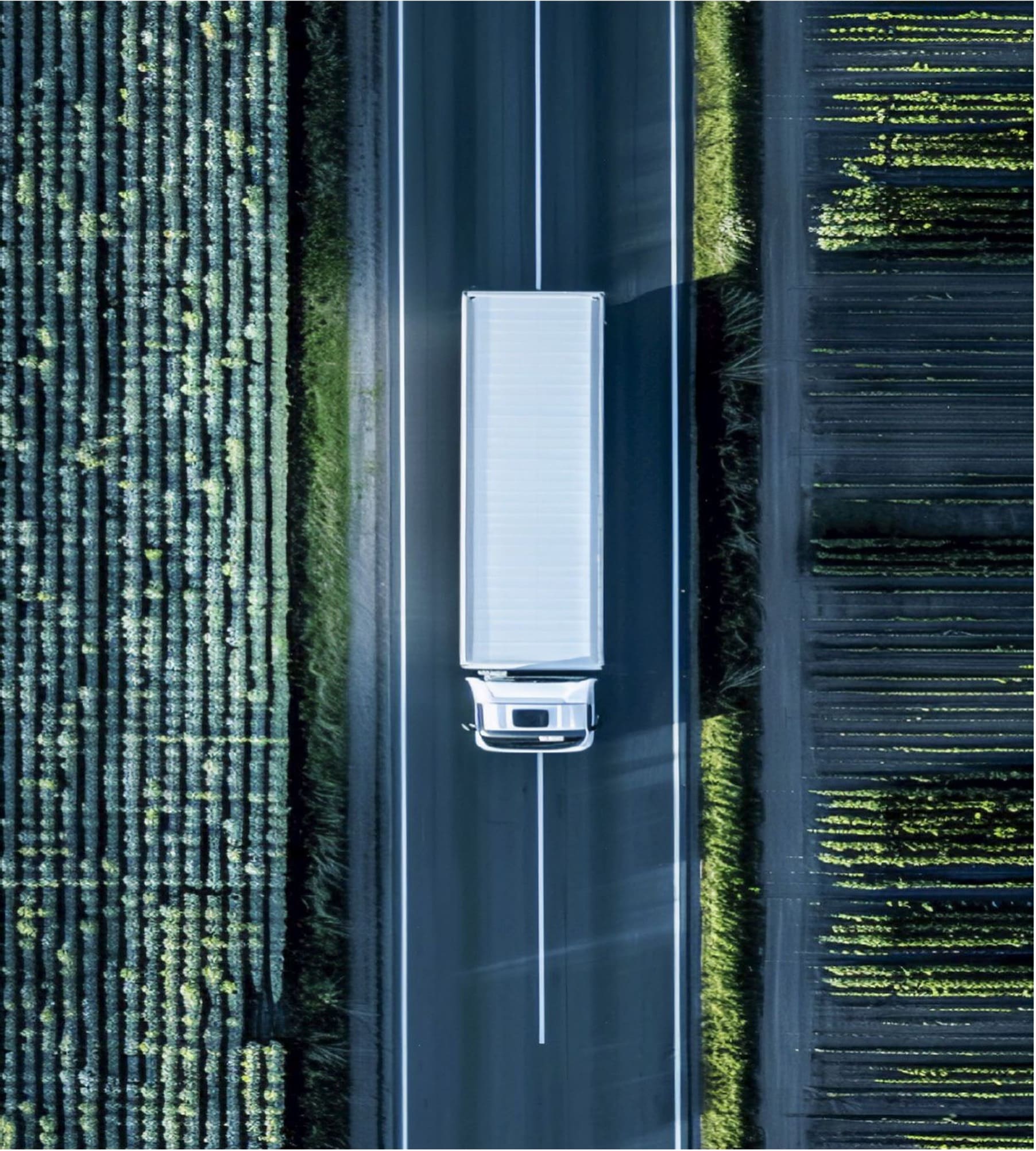 Conoce como SuKarne implementó el sistema de el sistema de planificación de rutas Roadnet de Solera