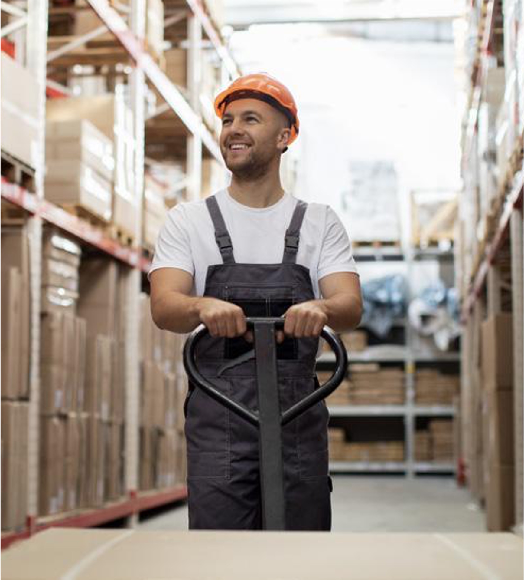 Conoce cómo Prinsel implementó el WMS de Blue Yonder en sus operaciones