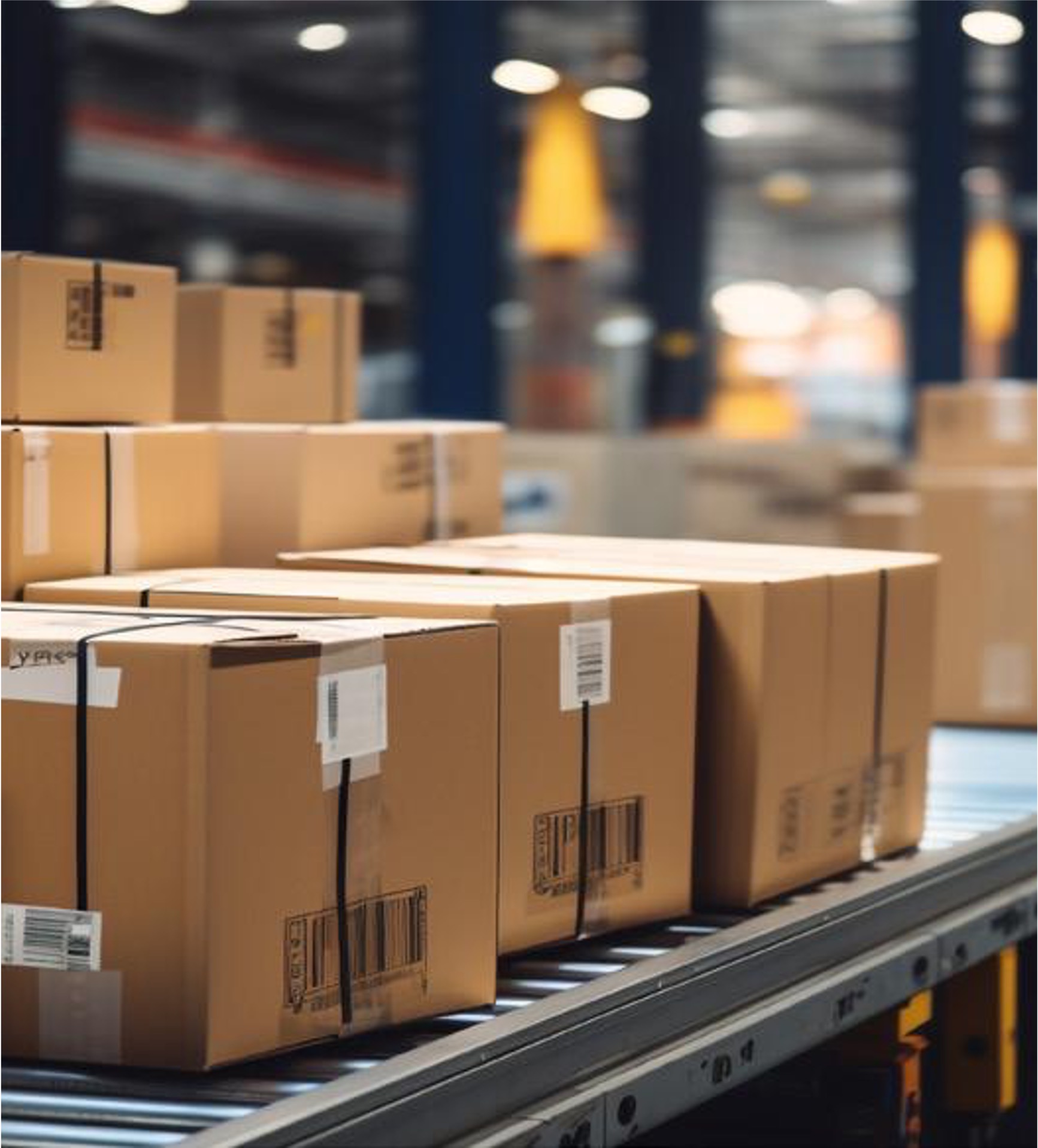 Así fue el proceso de El Palacio de Hierro implementando el sistema de administración de almacenes WMS de Blue Yonder