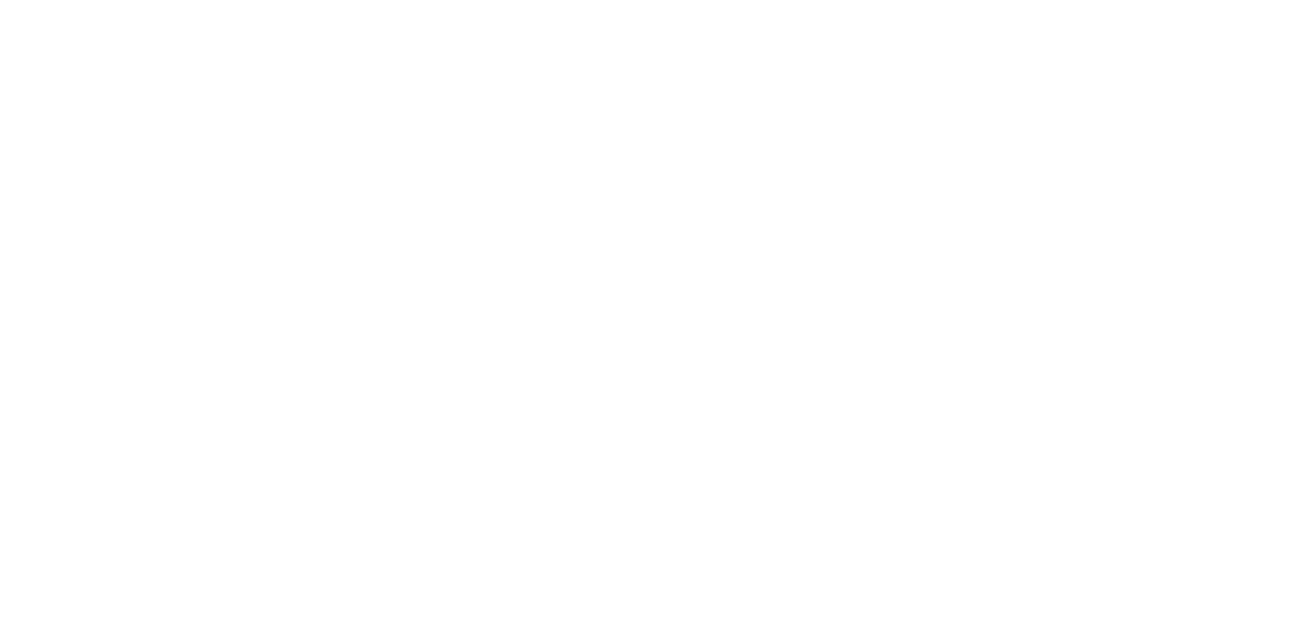 Netlogistik